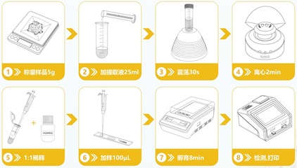轉(zhuǎn)基因快速檢測 守護(hù)糧食安全的新興科技